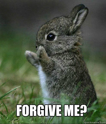 Forgive me?  Cute bunny