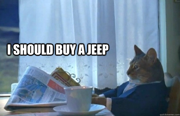 I should buy a Jeep  Sophisticated Cat