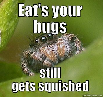 EAT'S YOUR BUGS STILL GETS SQUISHED Misunderstood Spider