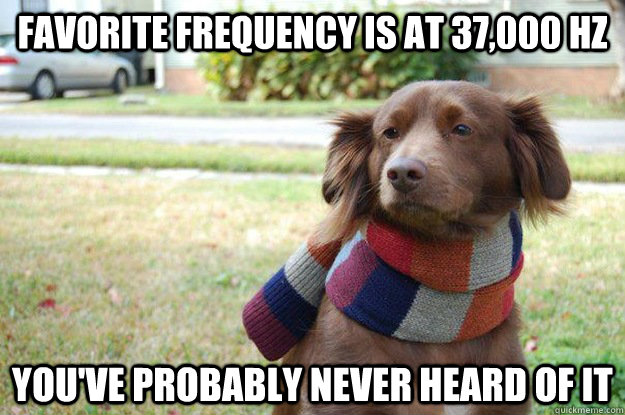 Favorite frequency is at 37,000 hz You've probably never heard of it - Favorite frequency is at 37,000 hz You've probably never heard of it  Misc