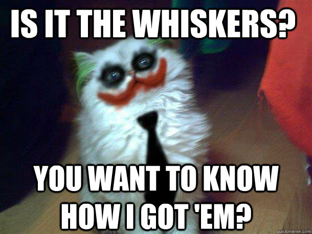 Is it the whiskers? You want to know how I got 'em?  