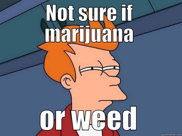NOT SURE IF MARIJUANA OR WEED Futurama Fry