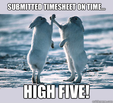 submitted timesheet on time... high five! - submitted timesheet on time... high five!  Bunny Bros