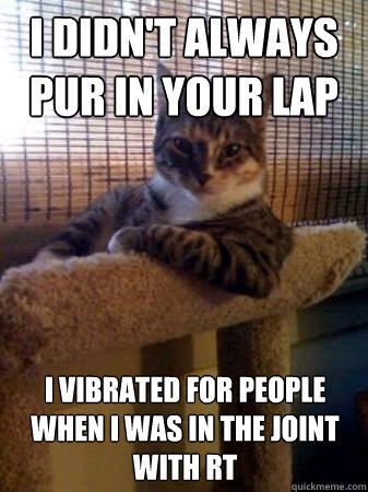 I didn't always pur in your lap I vibrated for people when i was in the joint with rt  The Most Interesting Cat in the World