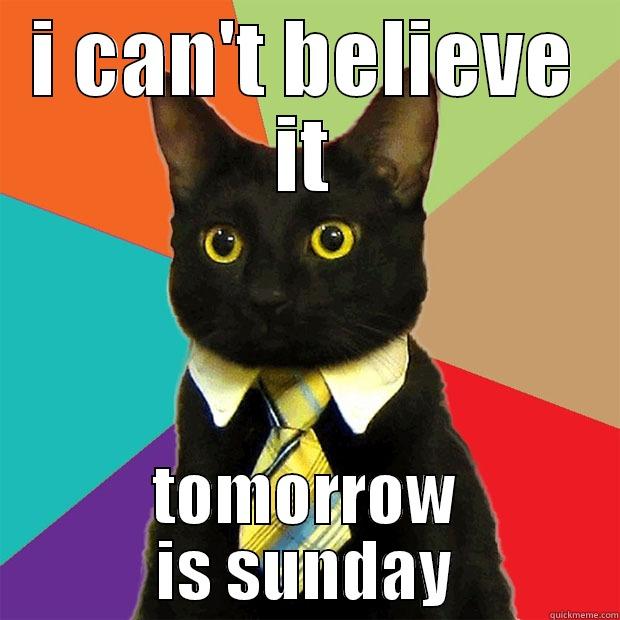 I CAN'T BELIEVE IT TOMORROW IS SUNDAY Business Cat