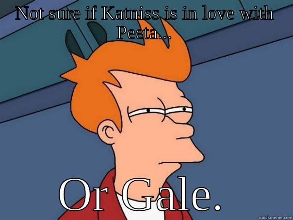 NOT SURE IF KATNISS IS IN LOVE WITH PEETA... OR GALE. Futurama Fry