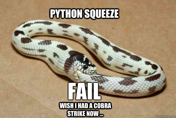 Fail Python squeeze  Wish I had a cobra strike now ... - Fail Python squeeze  Wish I had a cobra strike now ...  Mr. Snake