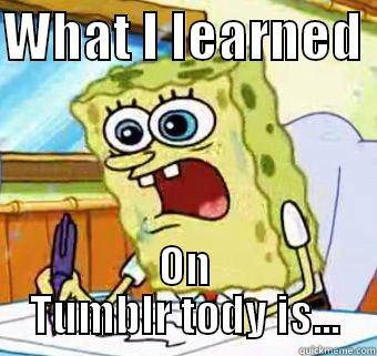 WHAT I LEARNED  ON TUMBLR TODY IS... Misc