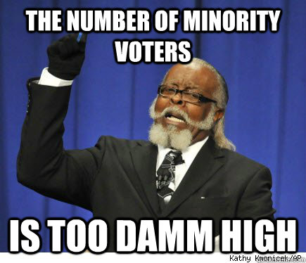 The Number of minority voters is too damm high   