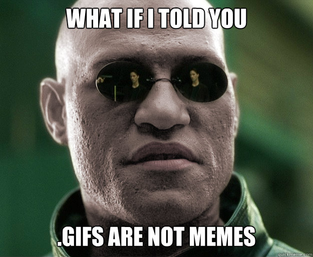 What if i told you .gifs are not memes - What if i told you .gifs are not memes  White Morphius