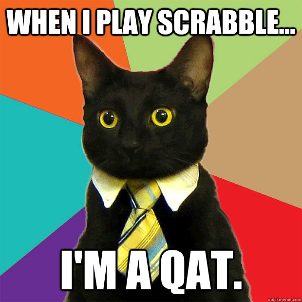 When I play SCRABBLE... I'm a qat. - When I play SCRABBLE... I'm a qat.  Business Cat