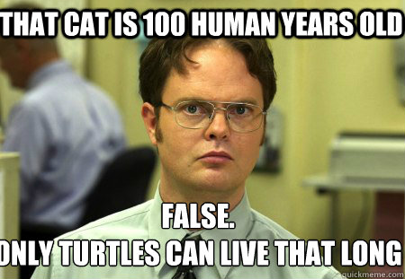 That cat is 100 human years old False.
only turtles can live that long  Schrute