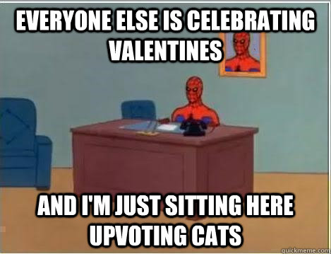 Everyone else is celebrating valentines And I'm just sitting here upvoting cats  Im just sitting here masturbating