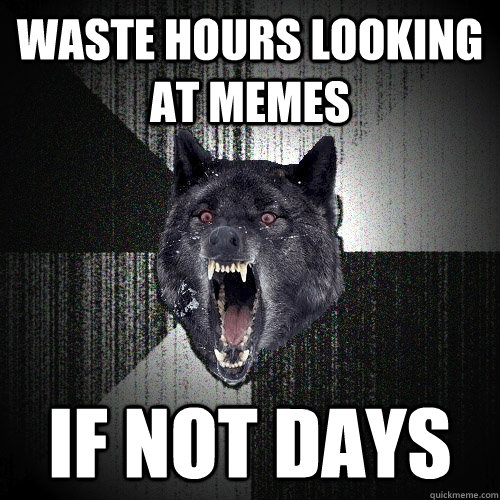 waste hours looking at memes if not days  Insanity Wolf