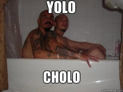 YOLO CHOLO  yolo cholo