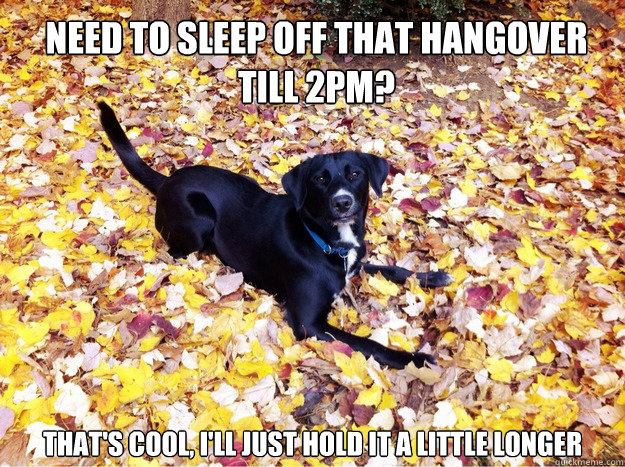 Need to sleep off that hangover till 2pm? That's cool, I'll just hold it a little longer  Guilt Giving Good Dog