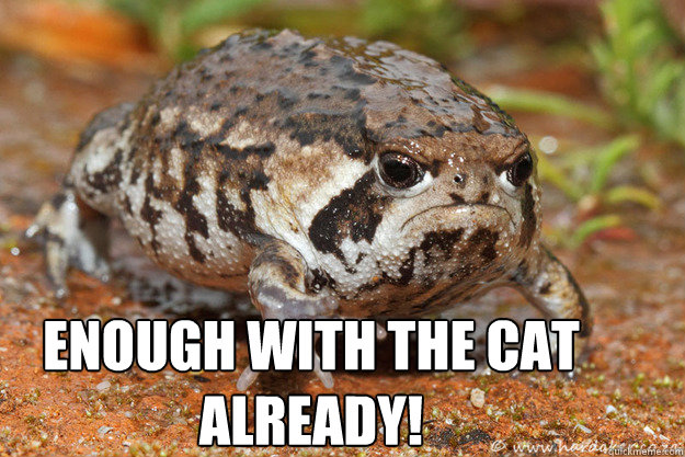 ENOUGH WITH THE CAT
ALREADY! - ENOUGH WITH THE CAT
ALREADY!  Misc