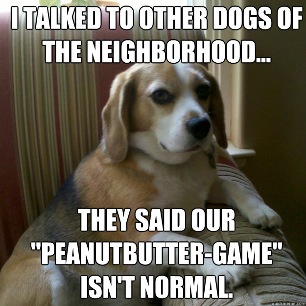 i talked to other dogs of the neighborhood... they said our 
