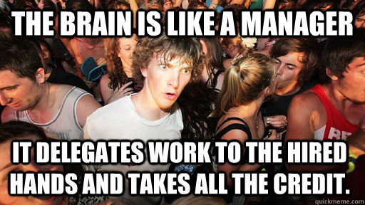 The brain is like a manager It delegates work to the hired hands and takes all the credit.  Sudden Clarity Clarence