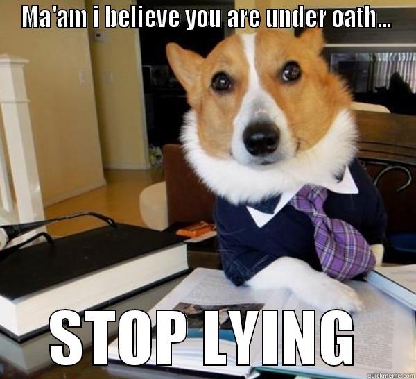 MA'AM I BELIEVE YOU ARE UNDER OATH... STOP LYING Lawyer Dog