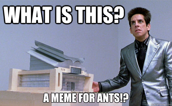 WHAT is this? a meme for ants!?  School for ants