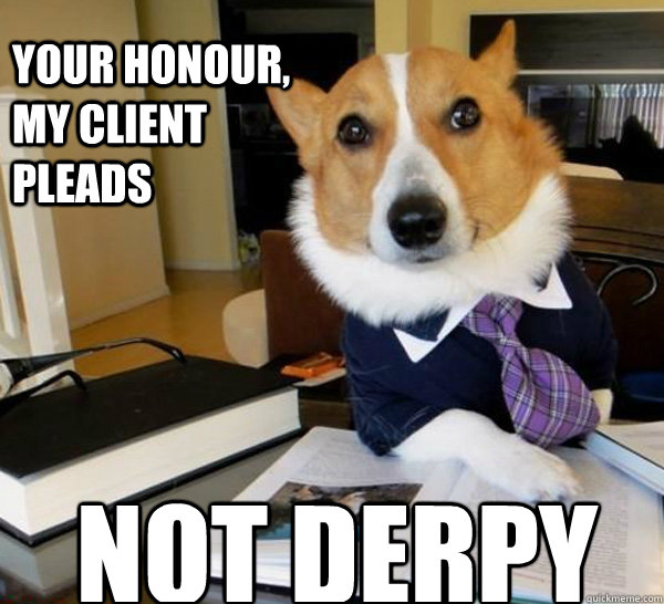 your honour, my client pleads not derpy  Lawyer Dog