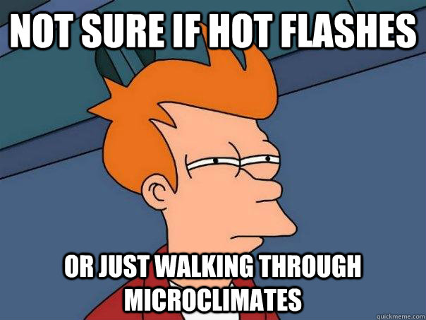Not sure if hot flashes Or just walking through microclimates  Futurama Fry