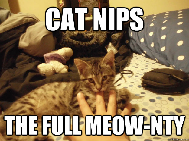 Cat nips The full Meow-nty  
