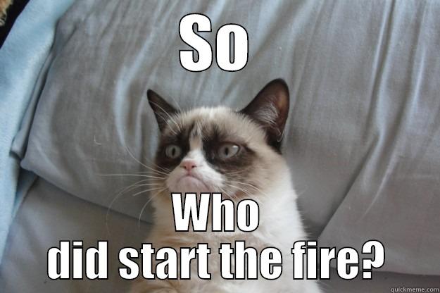 SO WHO DID START THE FIRE? Grumpy Cat