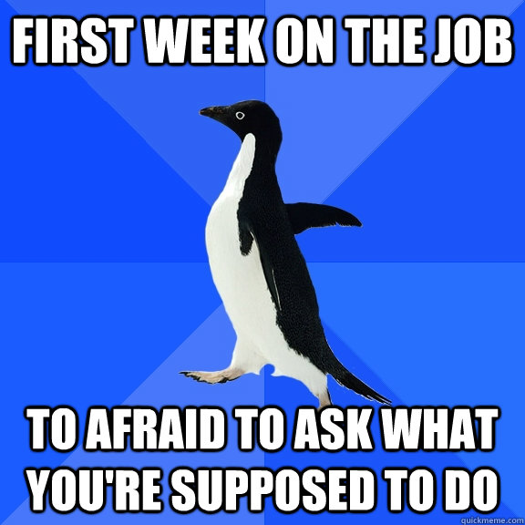 First week on the job To afraid to ask what you're supposed to do  Socially Awkward Penguin