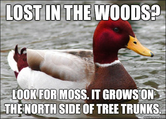 Lost in the woods? Look for moss. It grows on the north side of tree trunks.  Malicious Advice Mallard