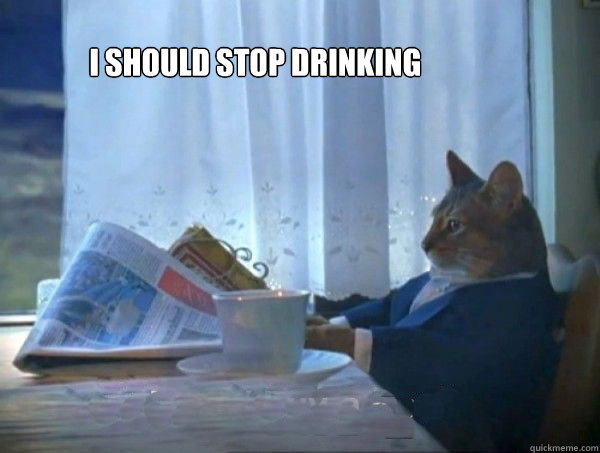             I should stop drinking   morning realization newspaper cat meme