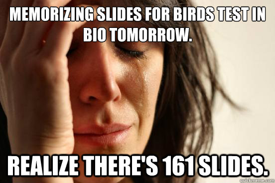 Memorizing slides for birds test in bio tomorrow. realize there's 161 slides.  First World Problems