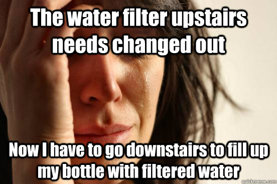 The water filter upstairs needs changed out  Now I have to go downstairs to fill up my bottle with filtered water  First World Problems