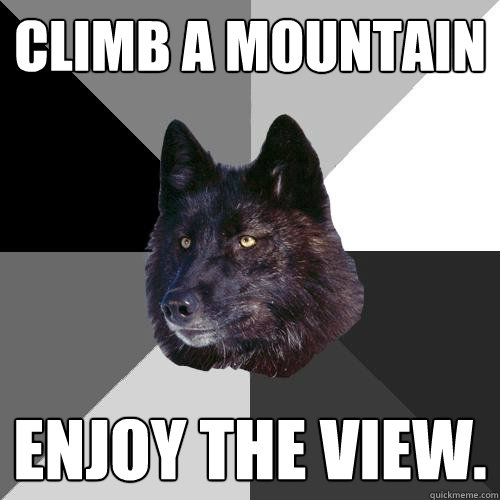 climb a mountain enjoy the view.  Sanity Wolf
