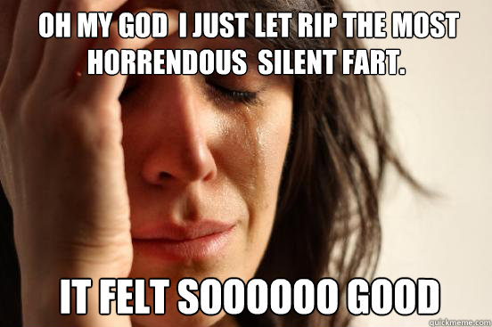  oh my god  i just let rip the most horrendous  silent fart.  it felt soooooo good  First World Problems