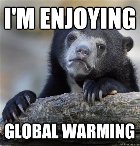 I'M ENJOYING GLOBAL WARMING  Confession Bear