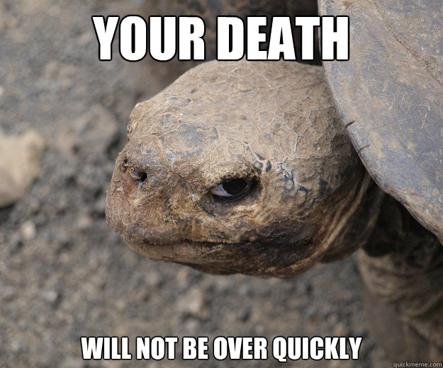 Your death will not be over quickly  Insanity Tortoise