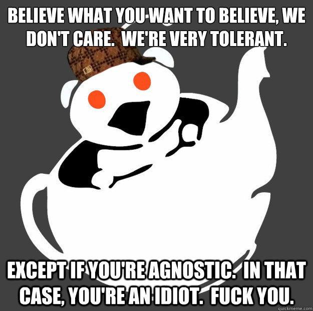 believe what you want to believe, we don't care.  we're very tolerant. Except if you're agnostic.  in that case, you're an idiot.  fuck you.  Scumbag rAtheism