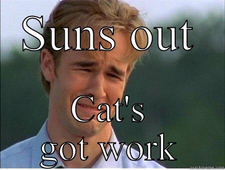 SUNS OUT CAT'S GOT WORK 1990s Problems