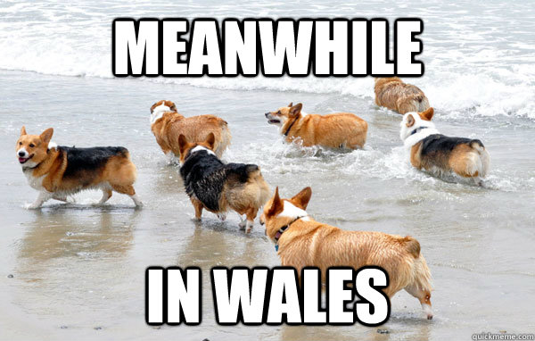 Meanwhile In Wales - Meanwhile In Wales  Welsh Corgi