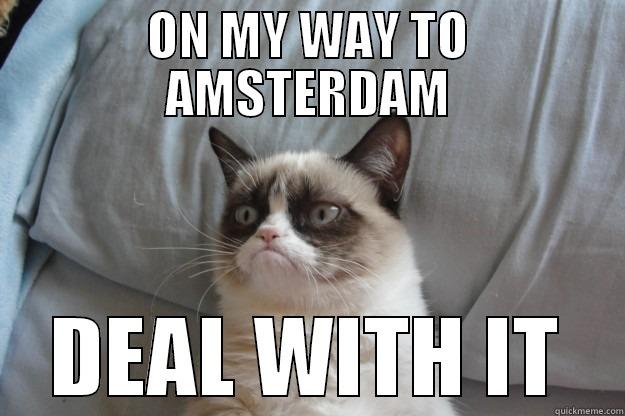 ON MY WAY  - ON MY WAY TO AMSTERDAM DEAL WITH IT Grumpy Cat
