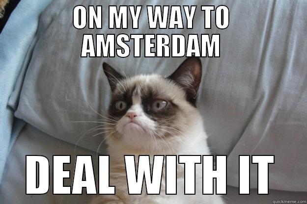ON MY WAY TO AMSTERDAM DEAL WITH IT Grumpy Cat