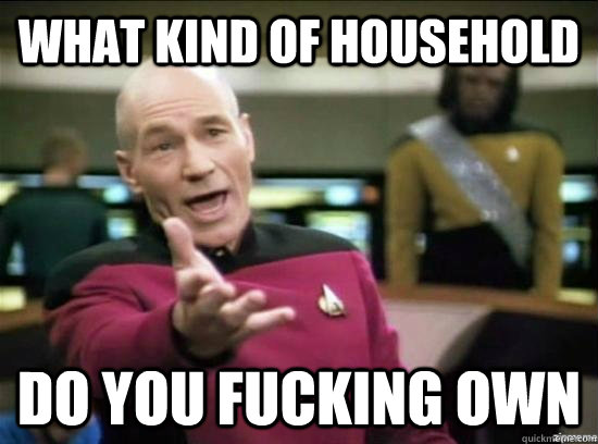 What kind of household Do you fucking own  Annoyed Picard HD