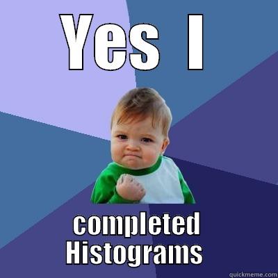 YES  I COMPLETED HISTOGRAMS  Success Kid