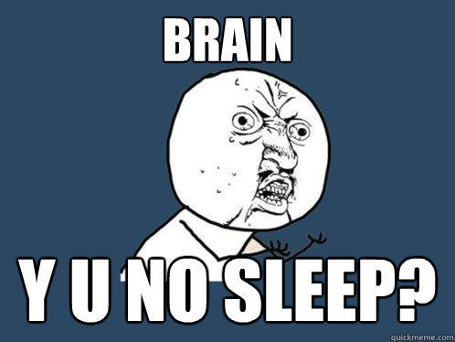 Brain Y U NO Sleep?  Y U No