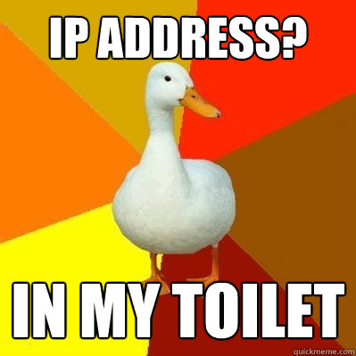 IP address? in my toilet  Tech Impaired Duck