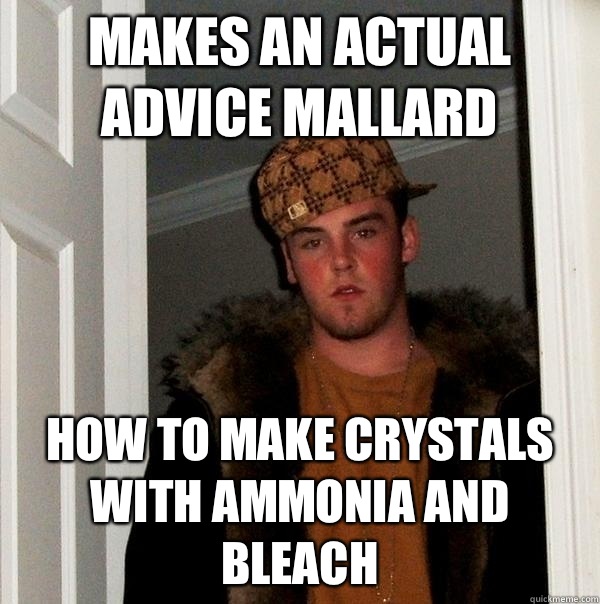 Makes an actual advice mallard How to make crystals with ammonia and bleach  Scumbag Steve