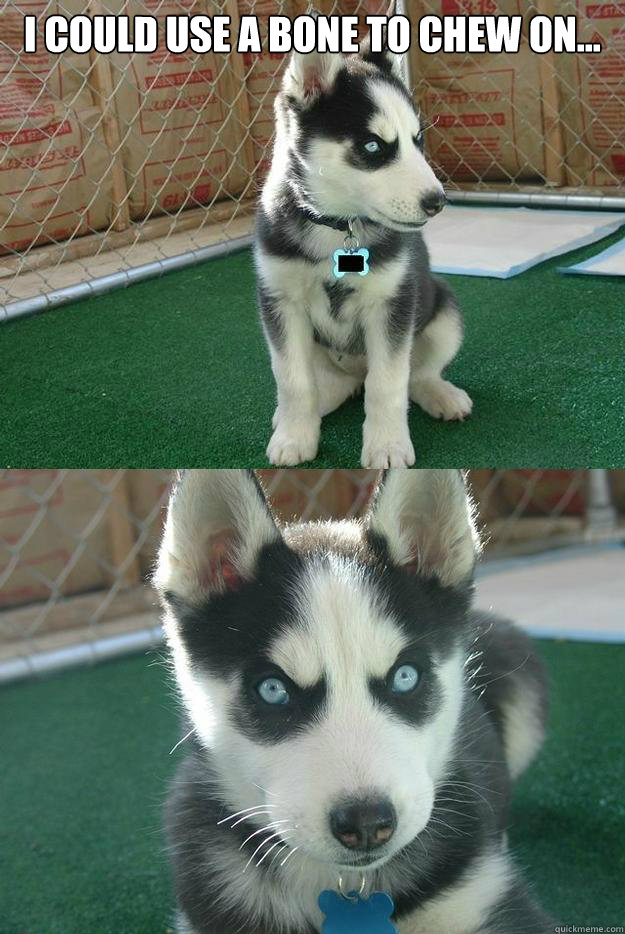 I could use a bone to chew on...   Insanity puppy