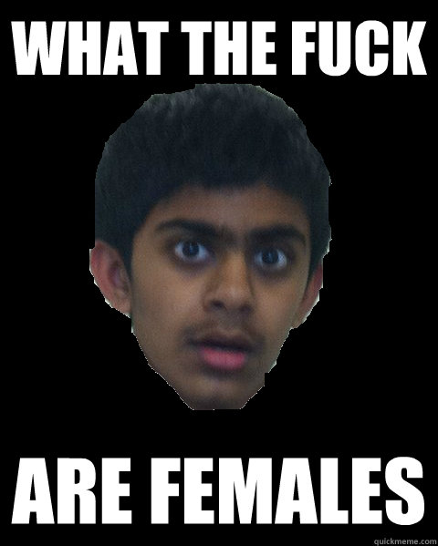 what the fuck are females  